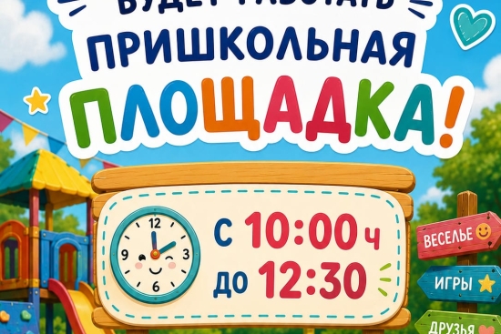 Пришкольная площадка